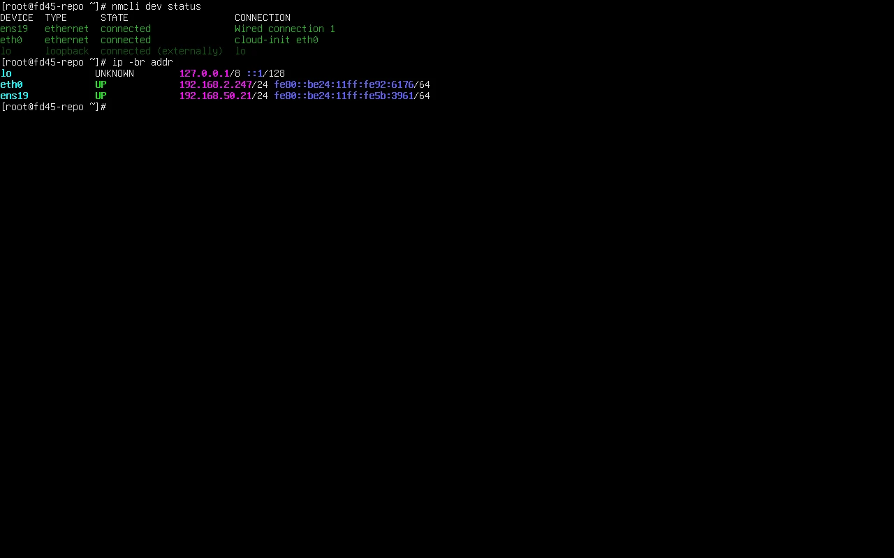 F45 上实测 nmcli dev status 列出 ens19、eth0、lo 三个设备与各自的连接名;ip -br addr 显示两条已配置地址